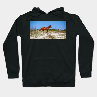 Wild Horses at Cumberland Island National Seashore Hoodie